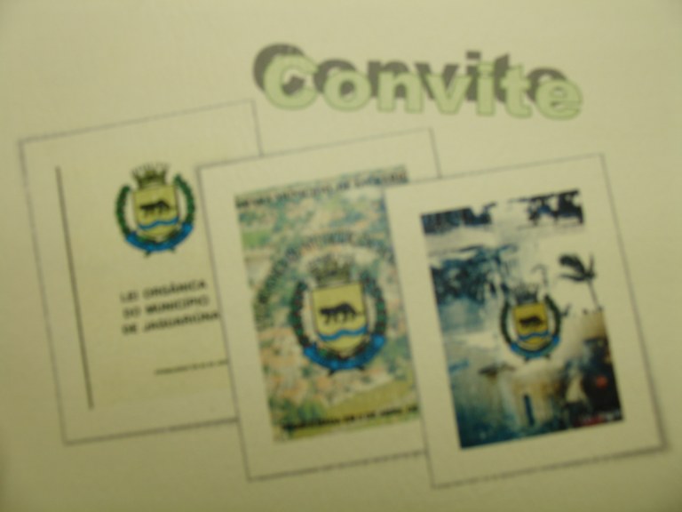 Câmara comemora 20 anos da Lei Orgânica