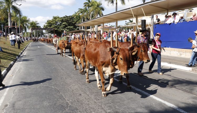 Unindo história, cultura e religião, 46ª Cavalaria Antoniana acontece no próximo domingo, dia 9 de junho
